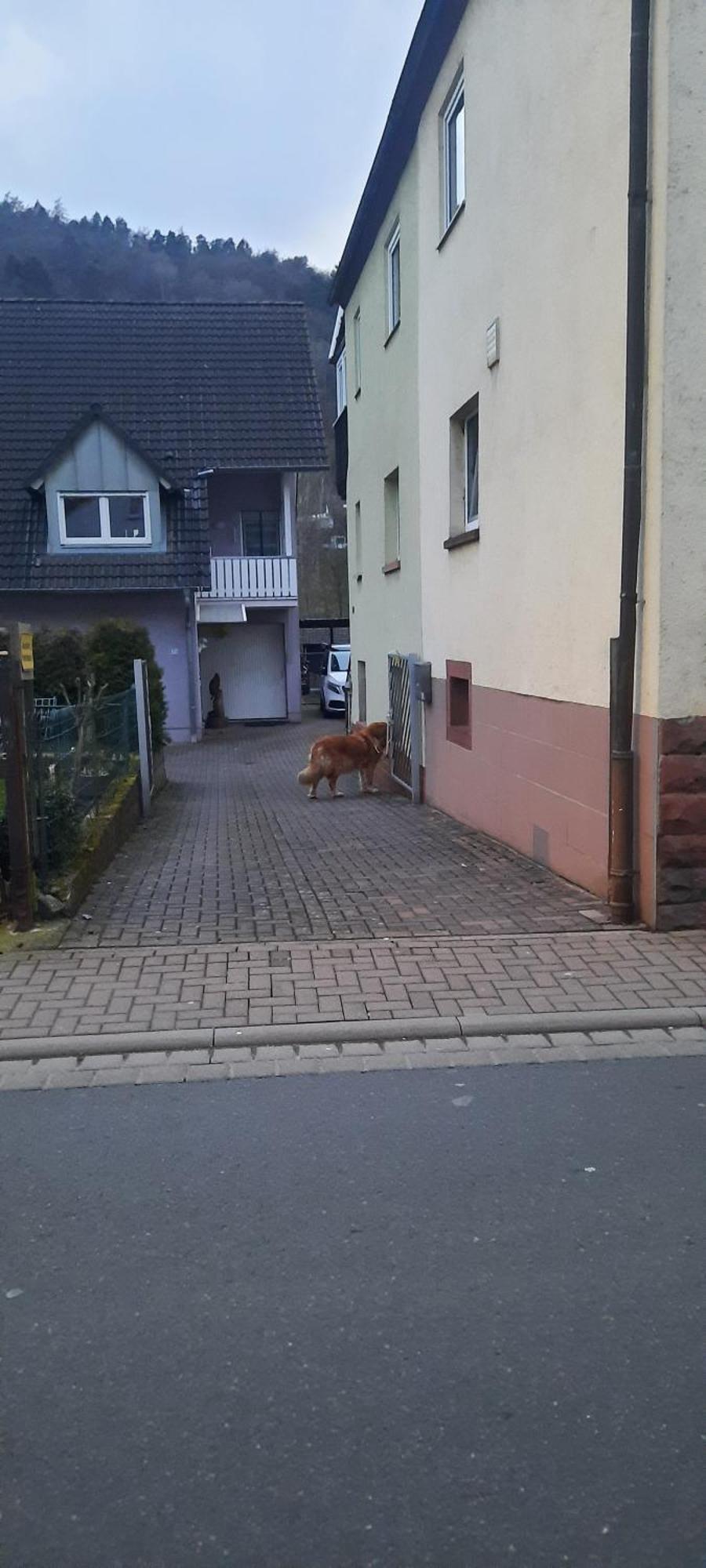 Main Zu Hause Eichenbuhl (Miltenberg) Exterior foto